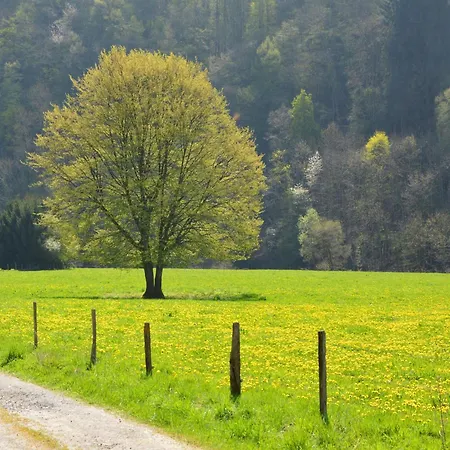 Holiday home Near The Forest In Bovigny, Cleaning Included Bovigny