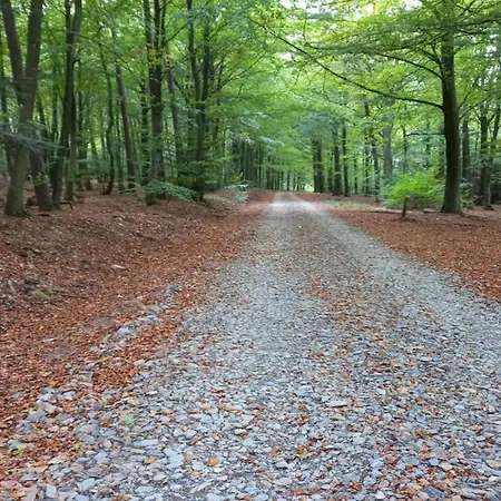 Near The Forest In Bovigny, Cleaning Included Holiday home